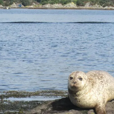 Ferienwohnung-tina Apartamento *